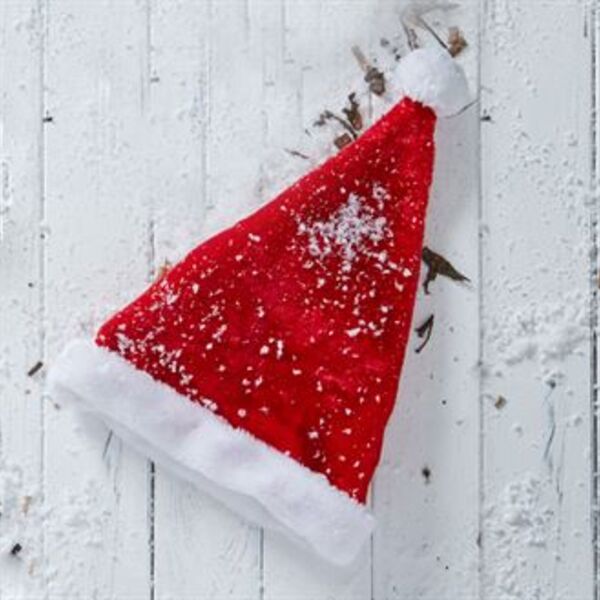 Plush Santa hat Thumbnail